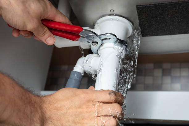 Best Carpet water damage restoration  in Indian Hills, NV