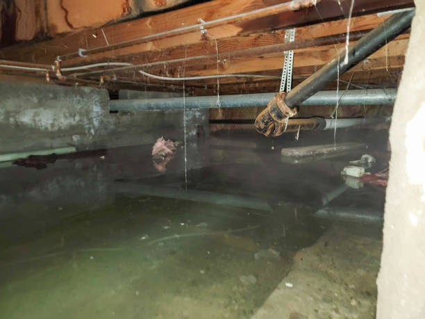 Best Ceiling water damage repair  in Indian Hills, NV