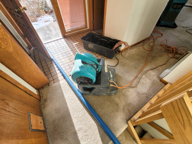 Best Water damage restoration insurance claims  in Indian Hills, NV