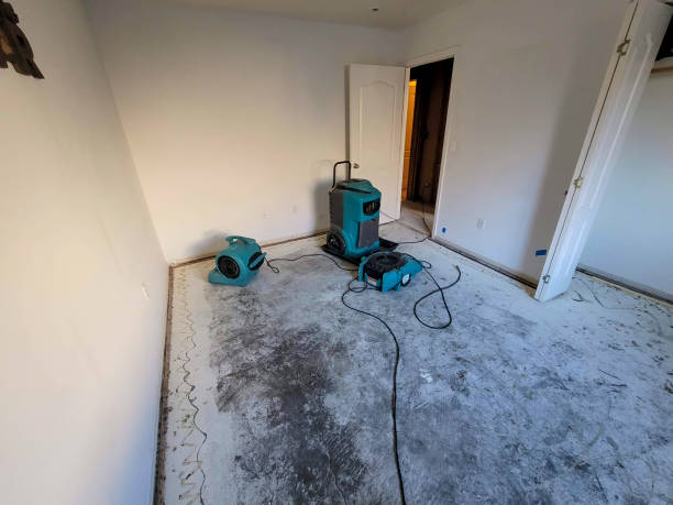 Best Commercial water damage restoration  in Indian Hills, NV