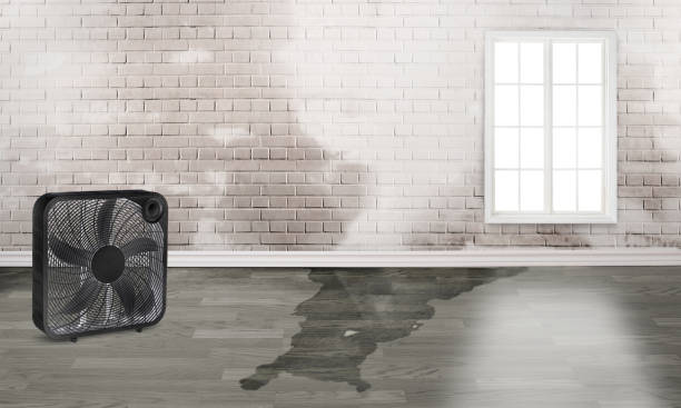 Best Water damage restoration cost  in Indian Hills, NV