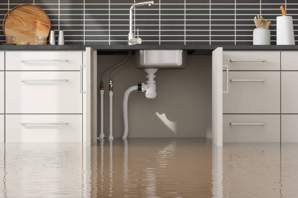 Best Local water damage restoration  in Indian Hills, NV